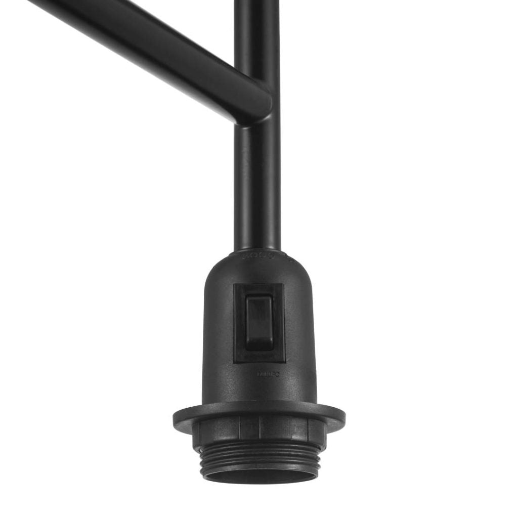 Dicte lattiavalaisin