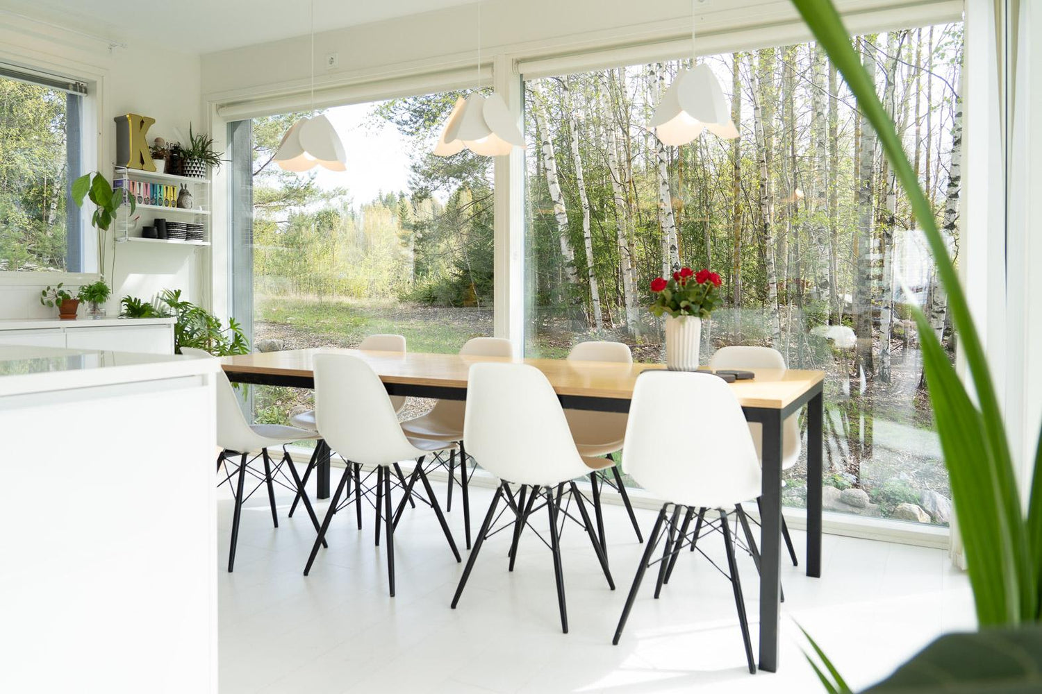 Lehmus riippuvalaisin