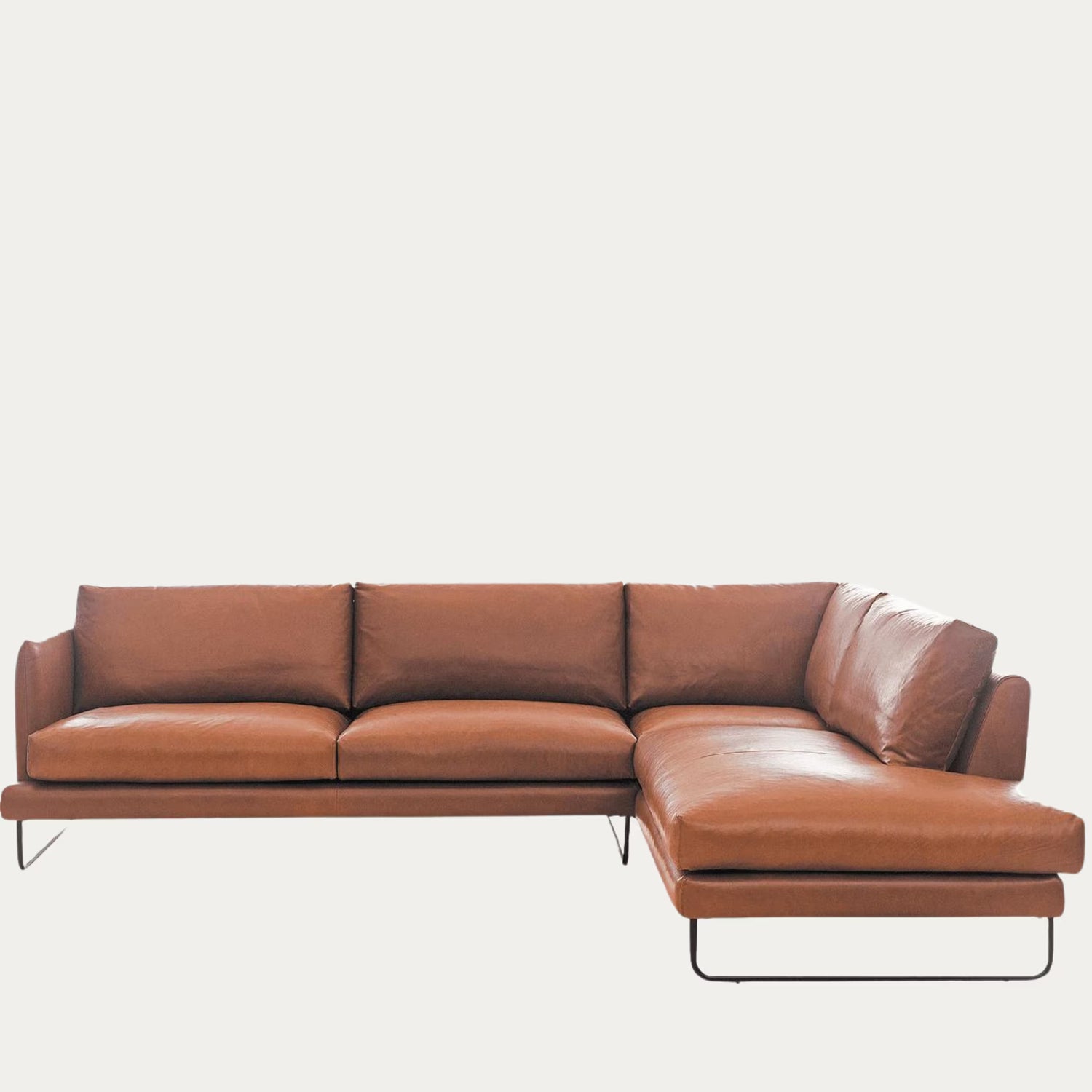 Jackson avokulma, konjakki nahka