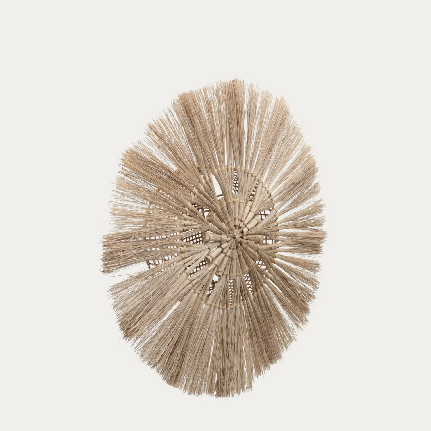 Amara seinävalaisin